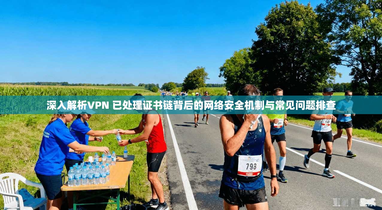 深入解析VPN 已处理证书链背后的网络安全机制与常见问题排查