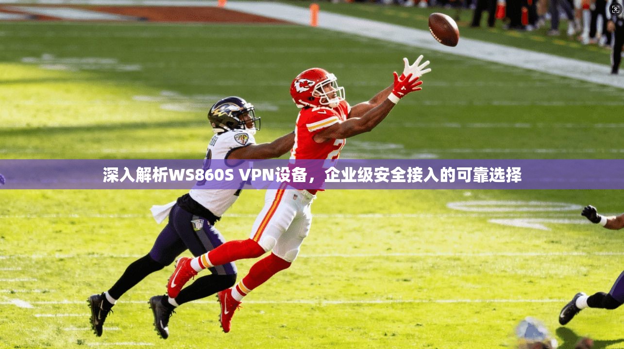 深入解析WS860S VPN设备，企业级安全接入的可靠选择