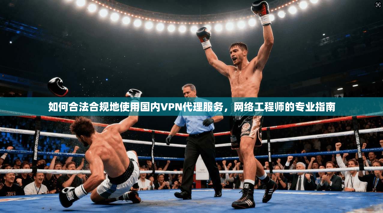如何合法合规地使用国内VPN代理服务，网络工程师的专业指南