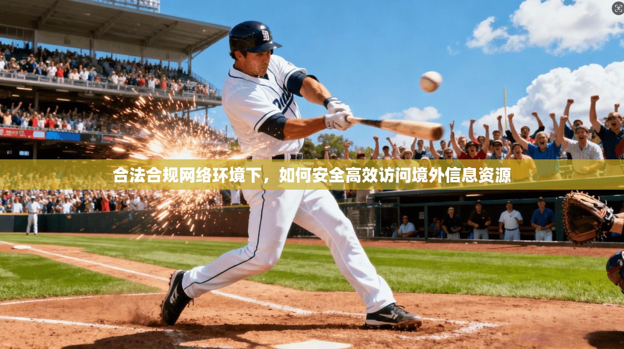 合法合规网络环境下，如何安全高效访问境外信息资源