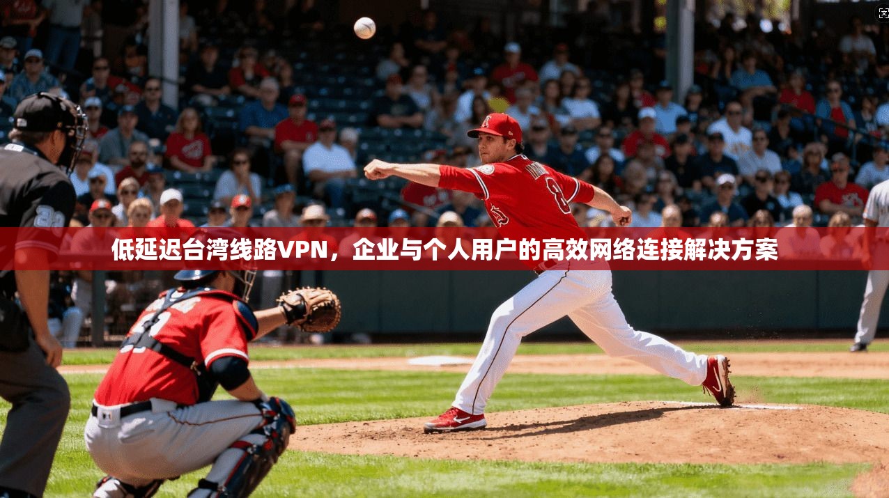 低延迟台湾线路VPN，企业与个人用户的高效网络连接解决方案