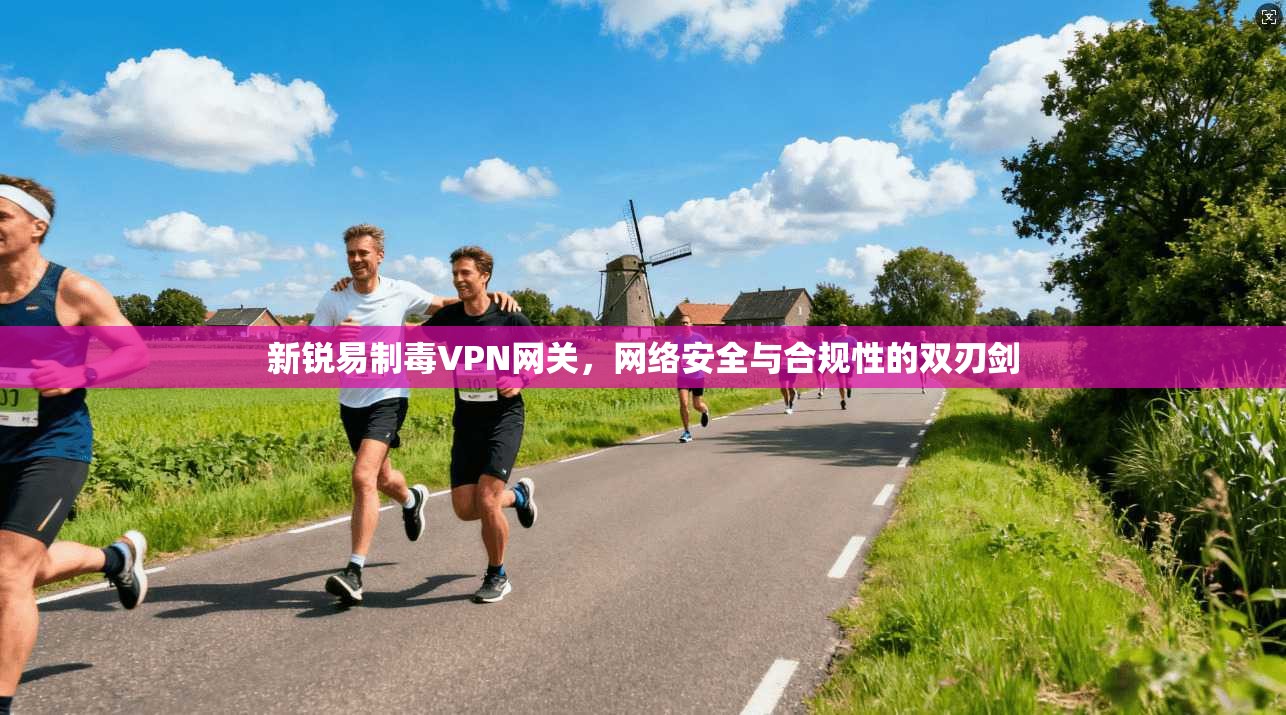 新锐易制毒VPN网关，网络安全与合规性的双刃剑