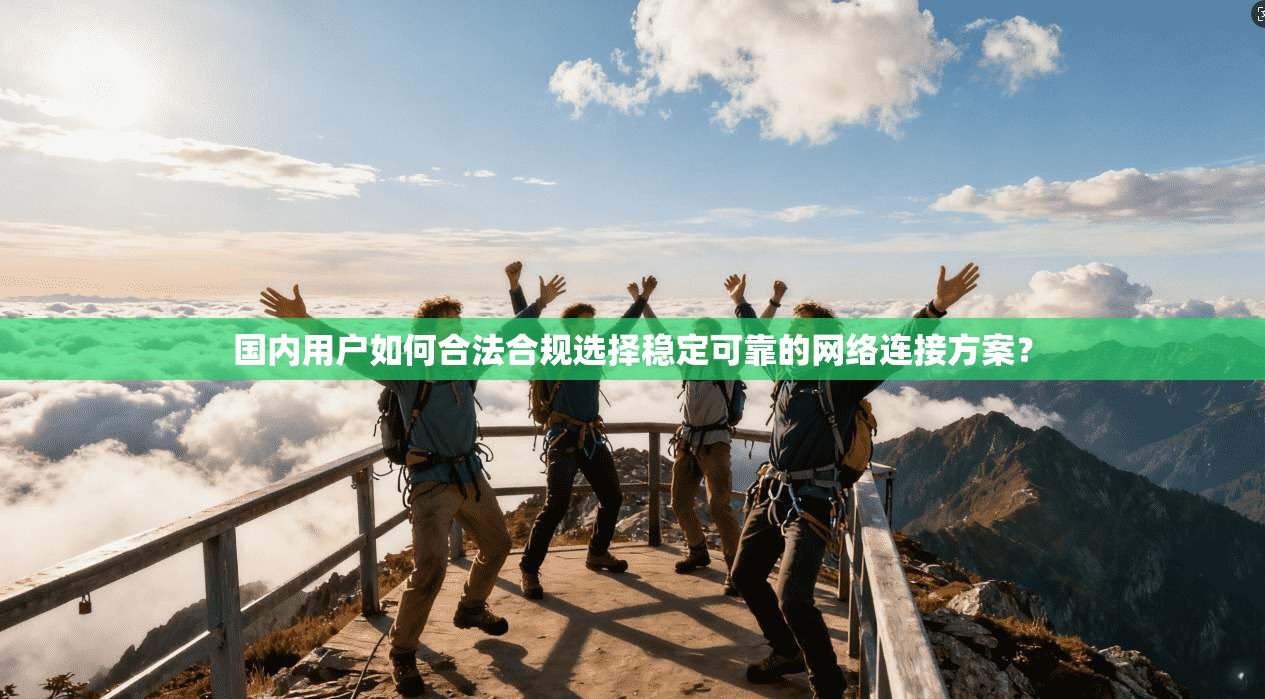 国内用户如何合法合规选择稳定可靠的网络连接方案？