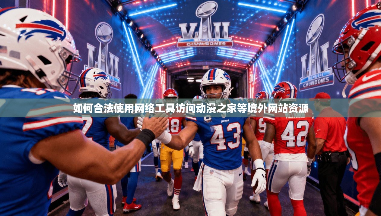 如何合法使用网络工具访问动漫之家等境外网站资源