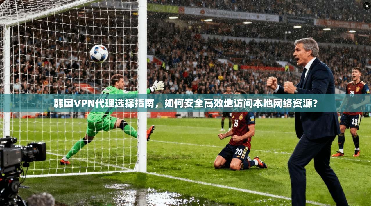 韩国VPN代理选择指南，如何安全高效地访问本地网络资源？