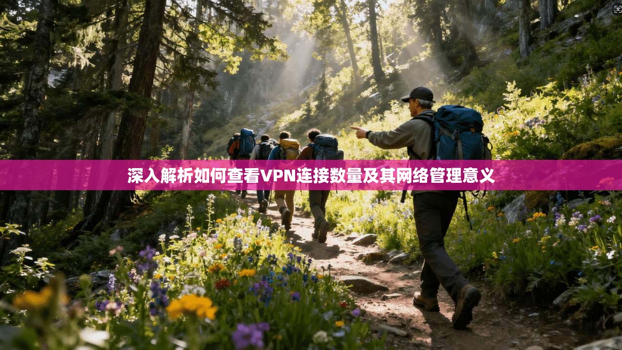 深入解析如何查看VPN连接数量及其网络管理意义 深入解析如何查看VPN连接数量及其网络管理意义