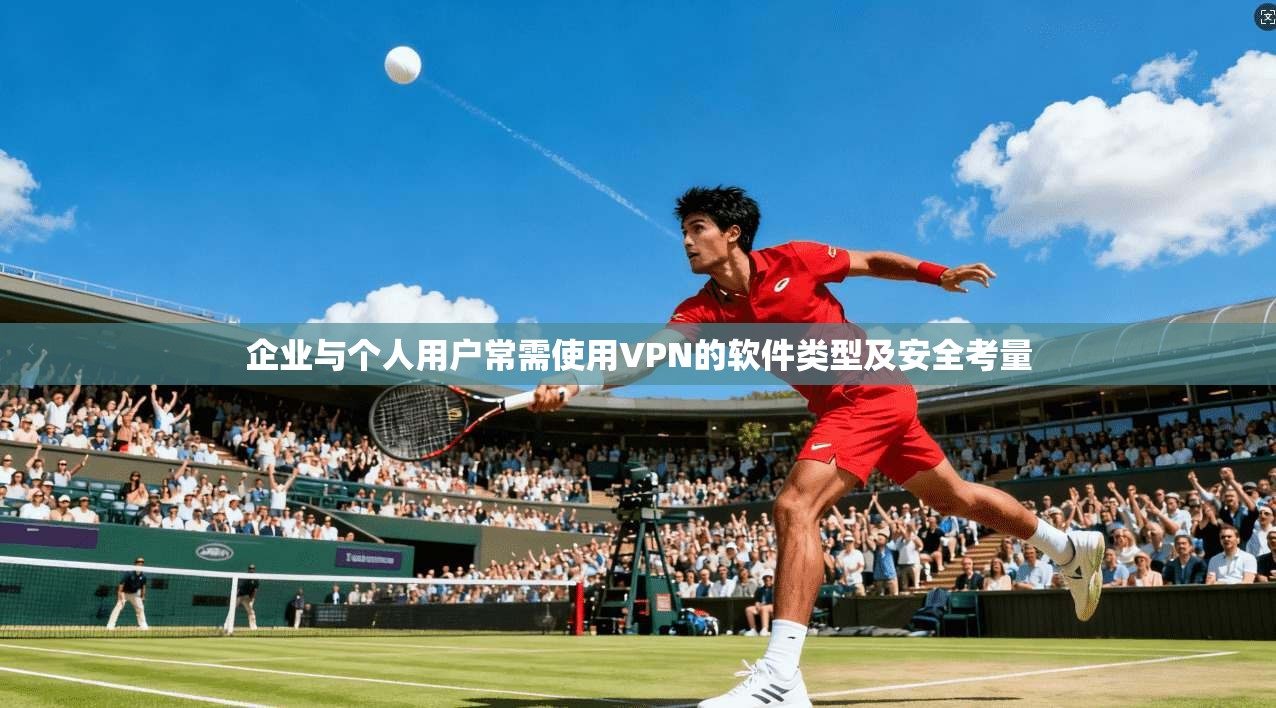 企业与个人用户常需使用VPN的软件类型及安全考量