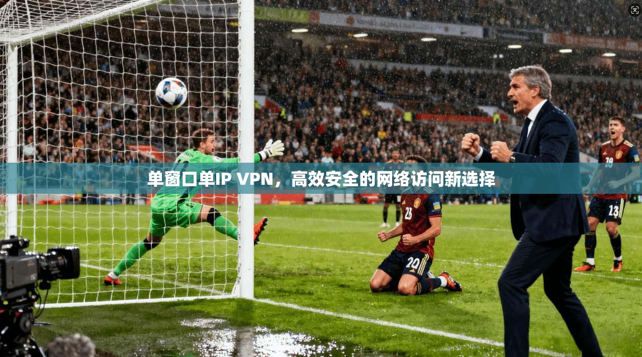 单窗口单IP VPN，高效安全的网络访问新选择