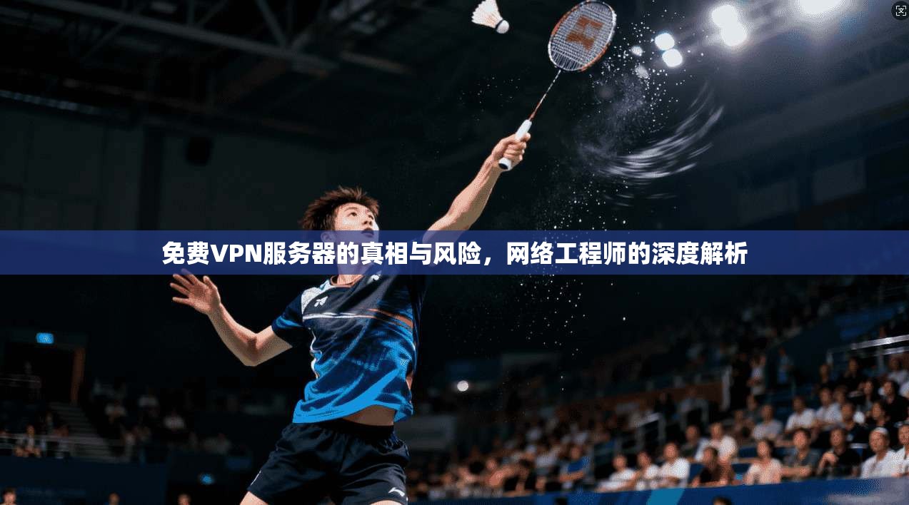 免费VPN服务器的真相与风险,网络工程师的深度解析 免费VPN服务器的真相与风险,网络工程师的深度解析