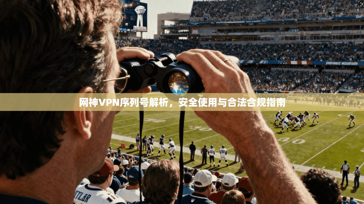 网神VPN序列号解析，安全使用与合法合规指南