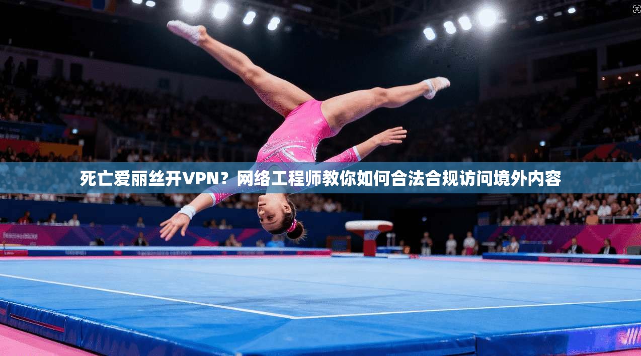 死亡爱丽丝开VPN？网络工程师教你如何合法合规访问境外内容