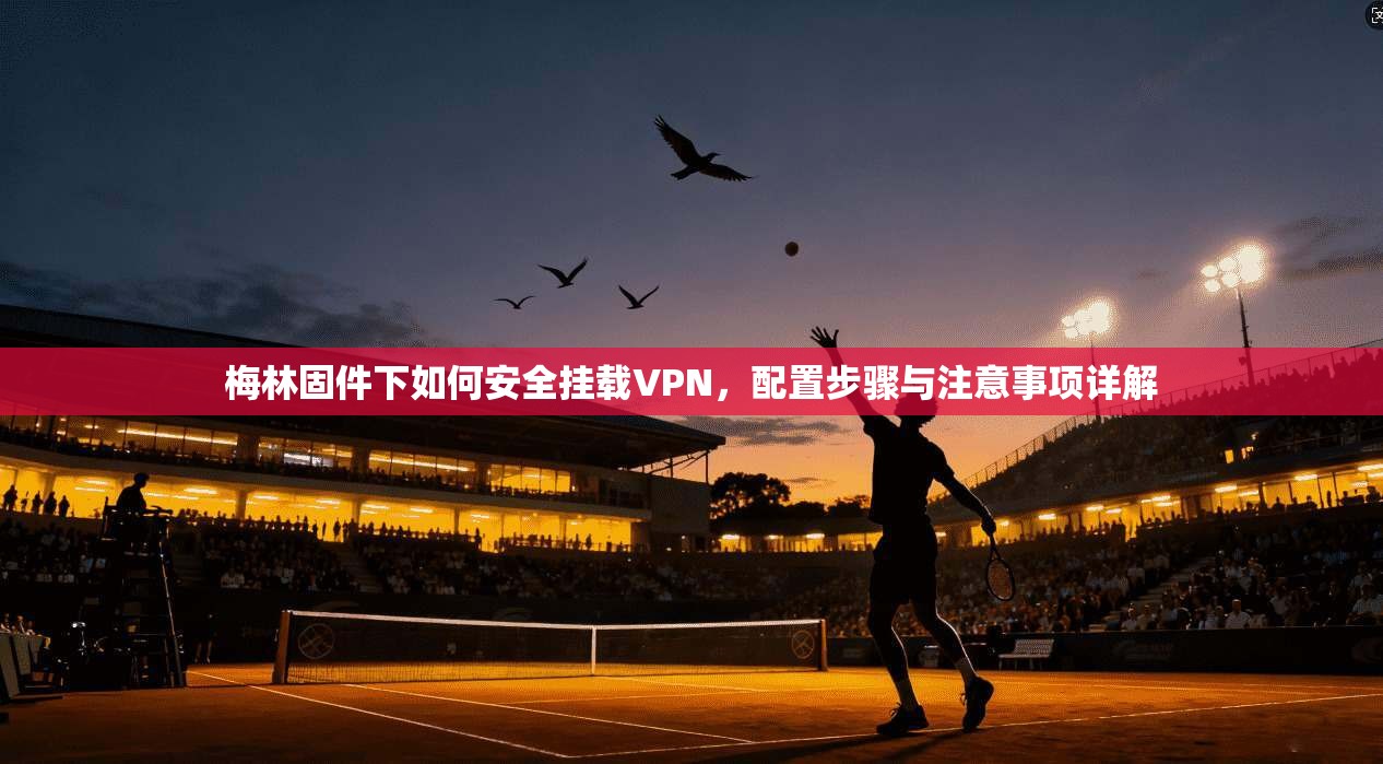 梅林固件下如何安全挂载VPN，配置步骤与注意事项详解