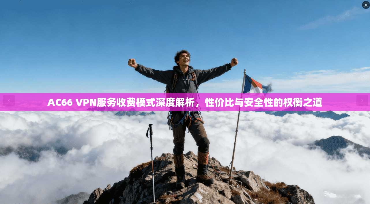 AC66 VPN服务收费模式深度解析，性价比与安全性的权衡之道