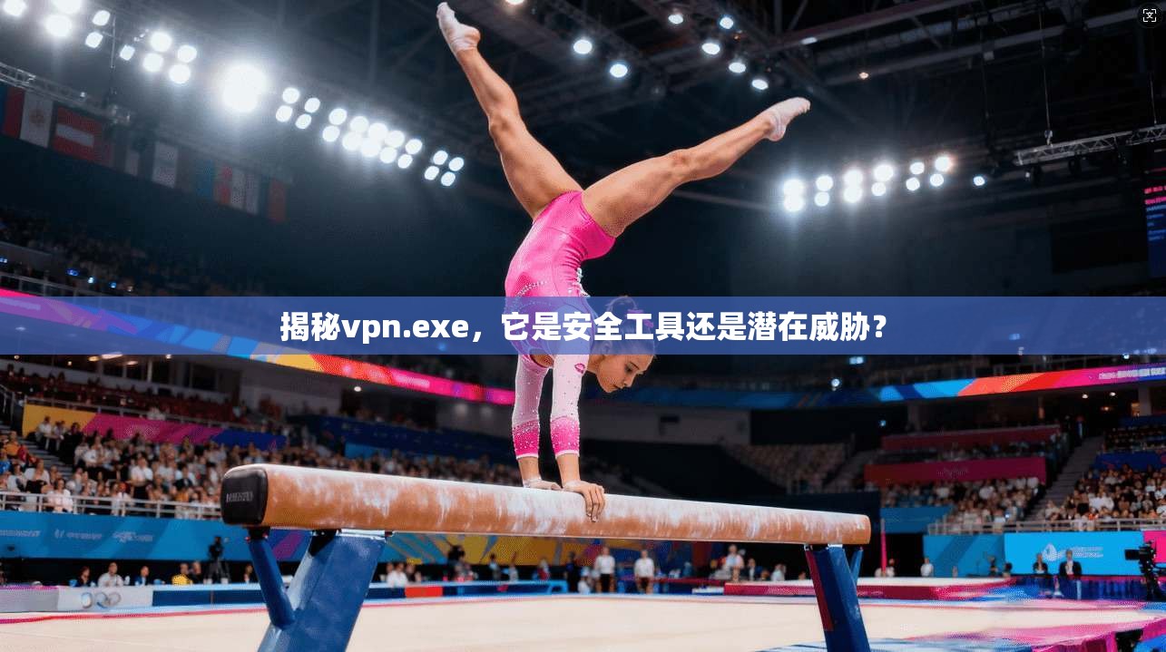 揭秘vpn.exe，它是安全工具还是潜在威胁？