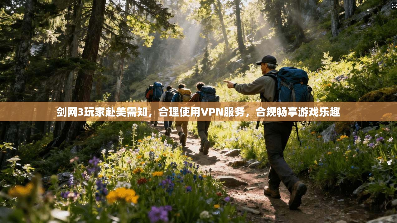 剑网3玩家赴美需知，合理使用VPN服务，合规畅享游戏乐趣