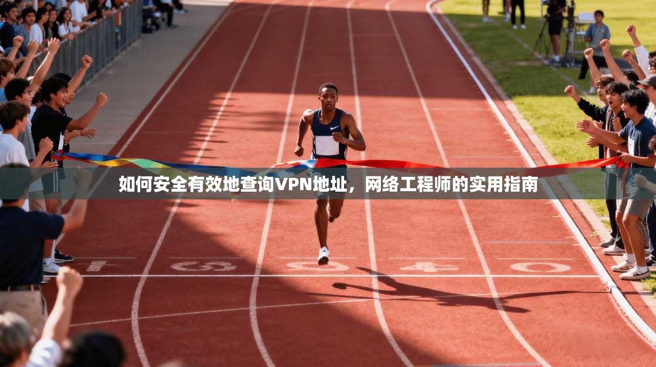 如何安全有效地查询VPN地址，网络工程师的实用指南