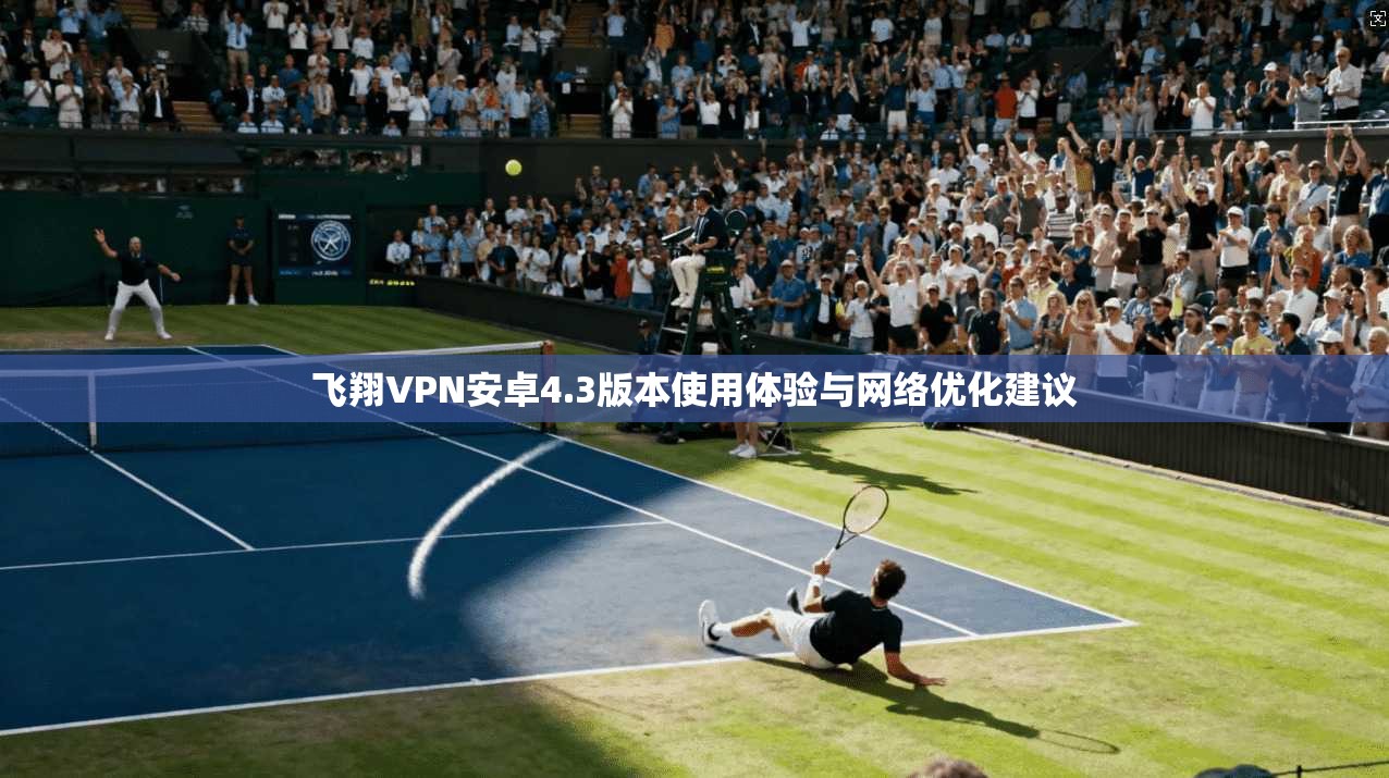 飞翔VPN安卓4.3版本使用体验与网络优化建议