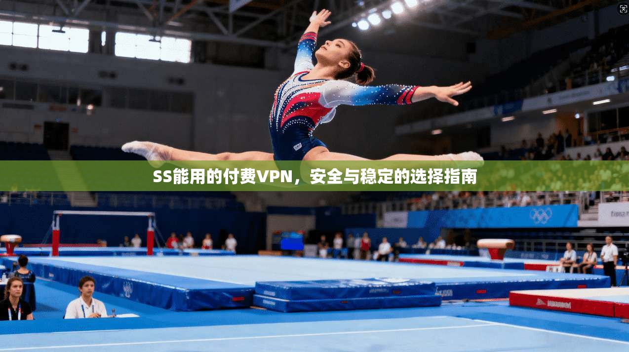 SS能用的付费VPN,安全与稳定的选择指南 SS能用的付费VPN,安全与稳定的选择指南
