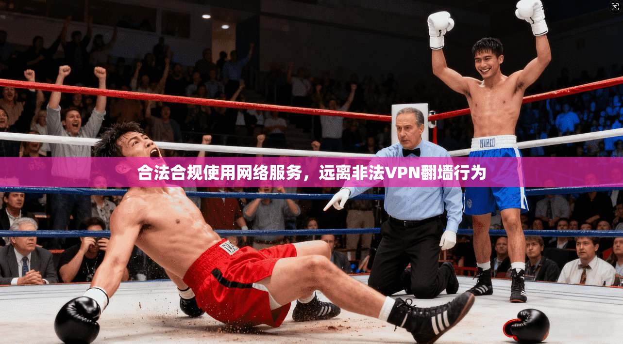 合法合规使用网络服务,远离非法VPN翻墙行为 合法合规使用网络服务,远离非法VPN翻墙行为