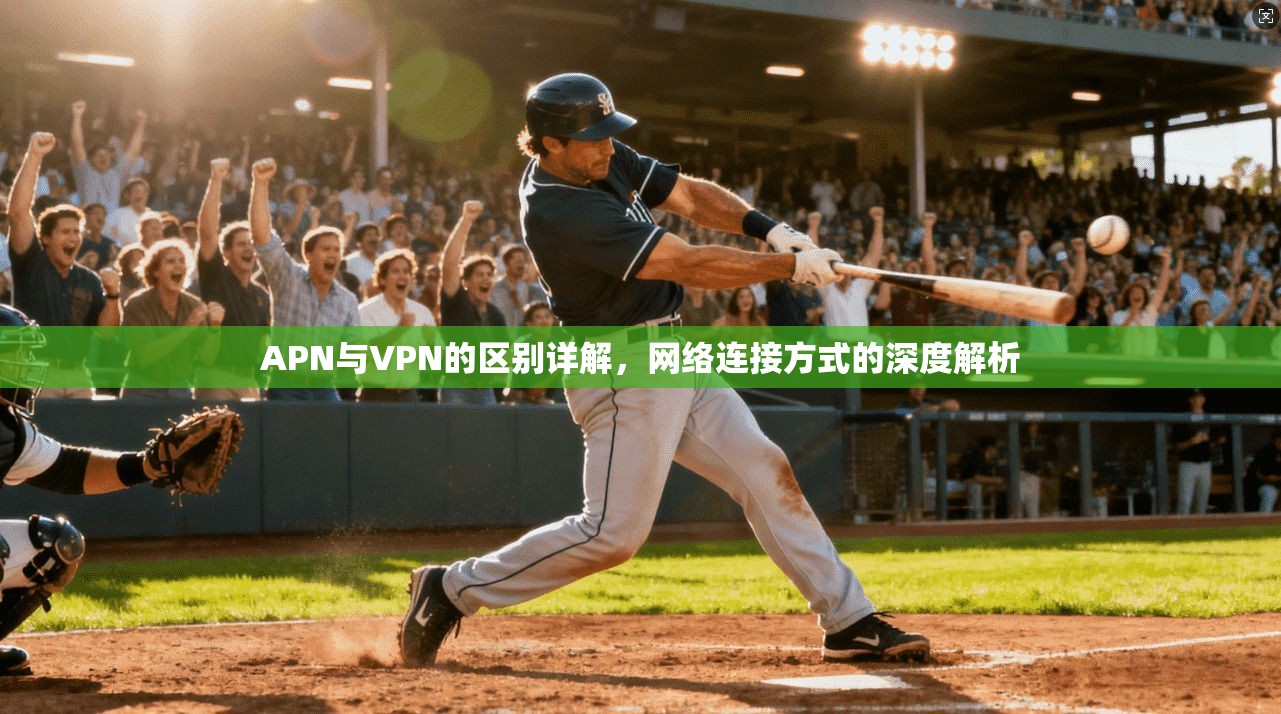 APN与VPN的区别详解，网络连接方式的深度解析