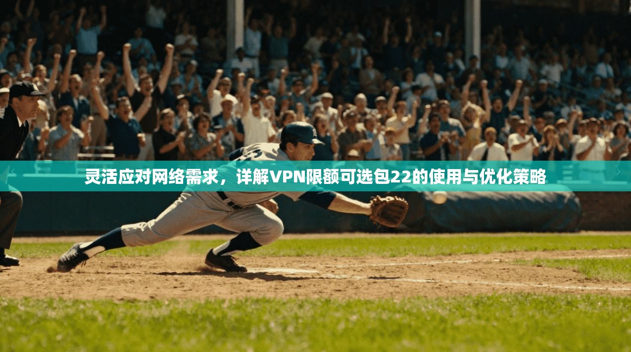 灵活应对网络需求,详解VPN限额可选包22的使用与优化策略 灵活应对网络需求,详解VPN限额可选包22的使用与优化策略
