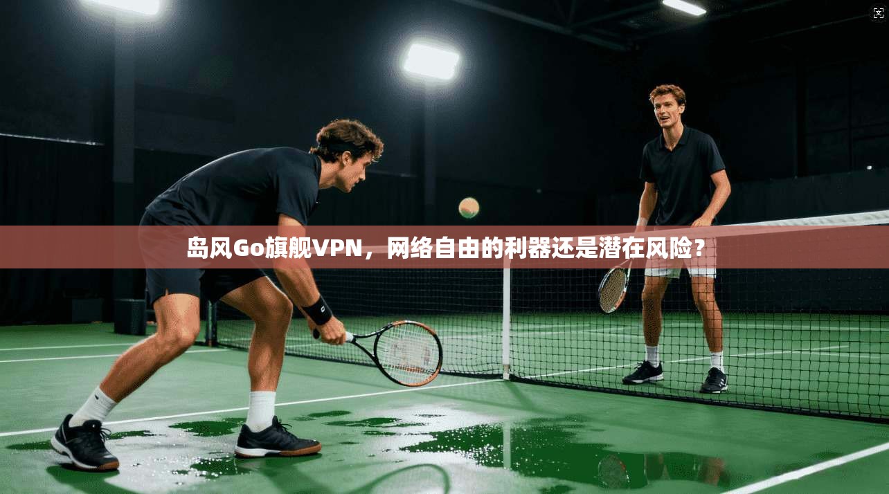 岛风Go旗舰VPN，网络自由的利器还是潜在风险？