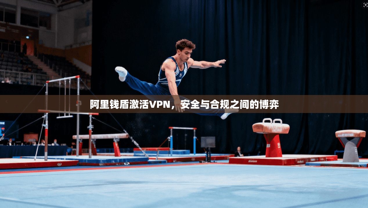 阿里钱盾激活VPN，安全与合规之间的博弈