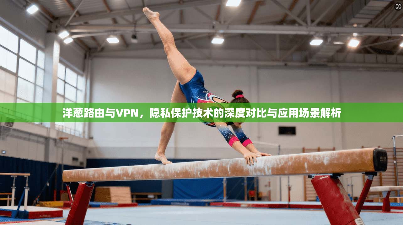 洋葱路由与VPN,隐私保护技术的深度对比与应用场景解析 洋葱路由与VPN,隐私保护技术的深度对比与应用场景解析
