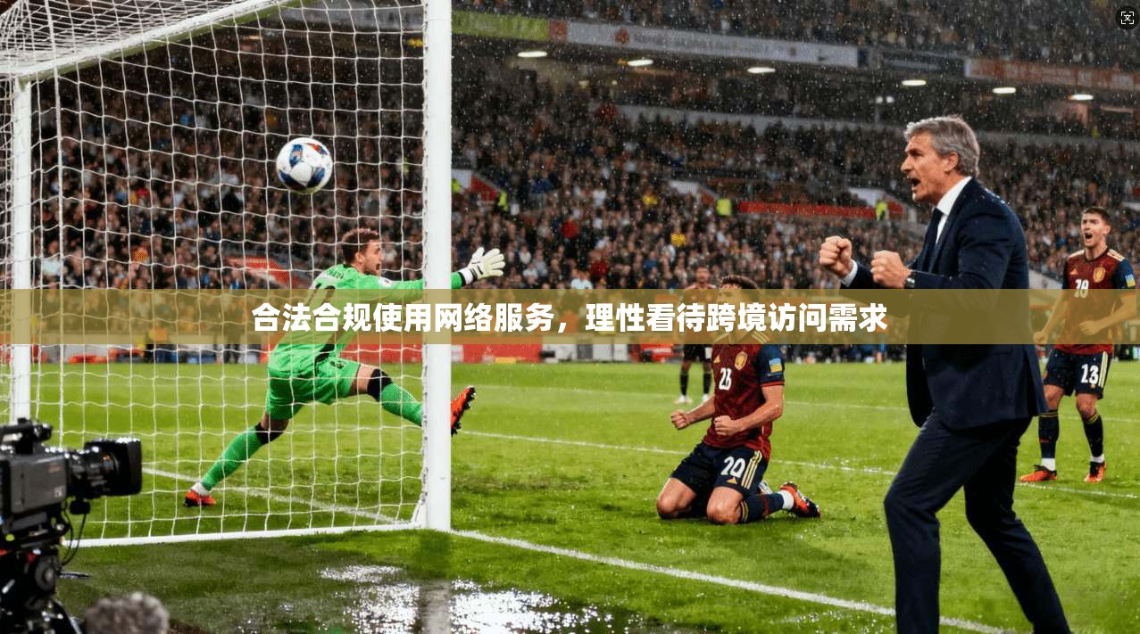 合法合规使用网络服务,理性看待跨境访问需求 合法合规使用网络服务,理性看待跨境访问需求