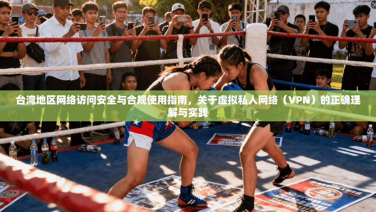 台湾地区网络访问安全与合规使用指南，关于虚拟私人网络（VPN）的正确理解与实践