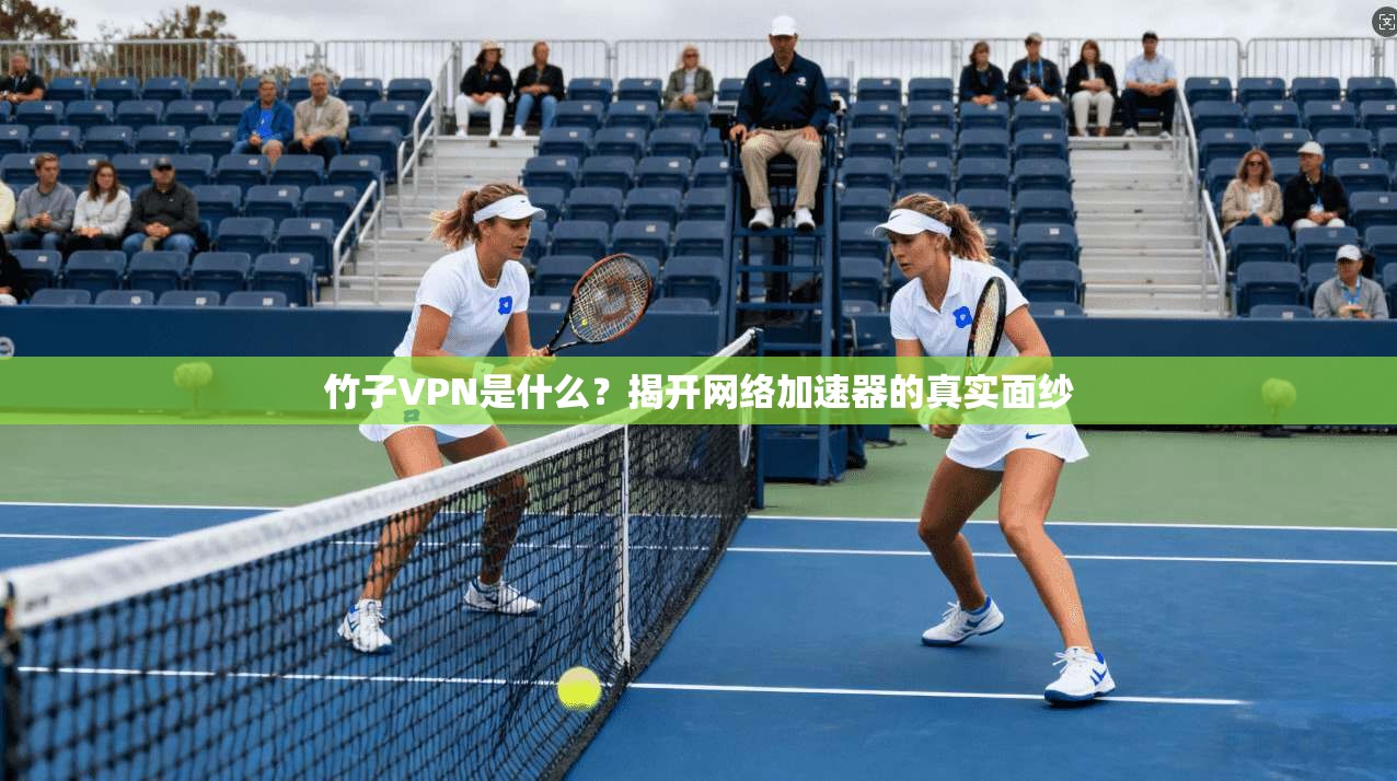 竹子VPN是什么?揭开网络加速器的真实面纱 竹子VPN是什么?揭开网络加速器的真实面纱