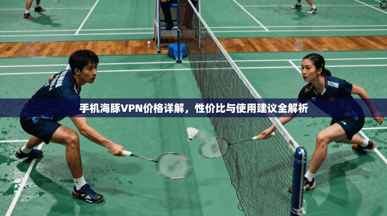 手机海豚VPN价格详解，性价比与使用建议全解析
