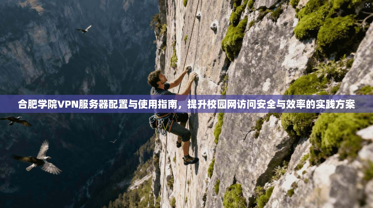 合肥学院VPN服务器配置与使用指南，提升校园网访问安全与效率的实践方案