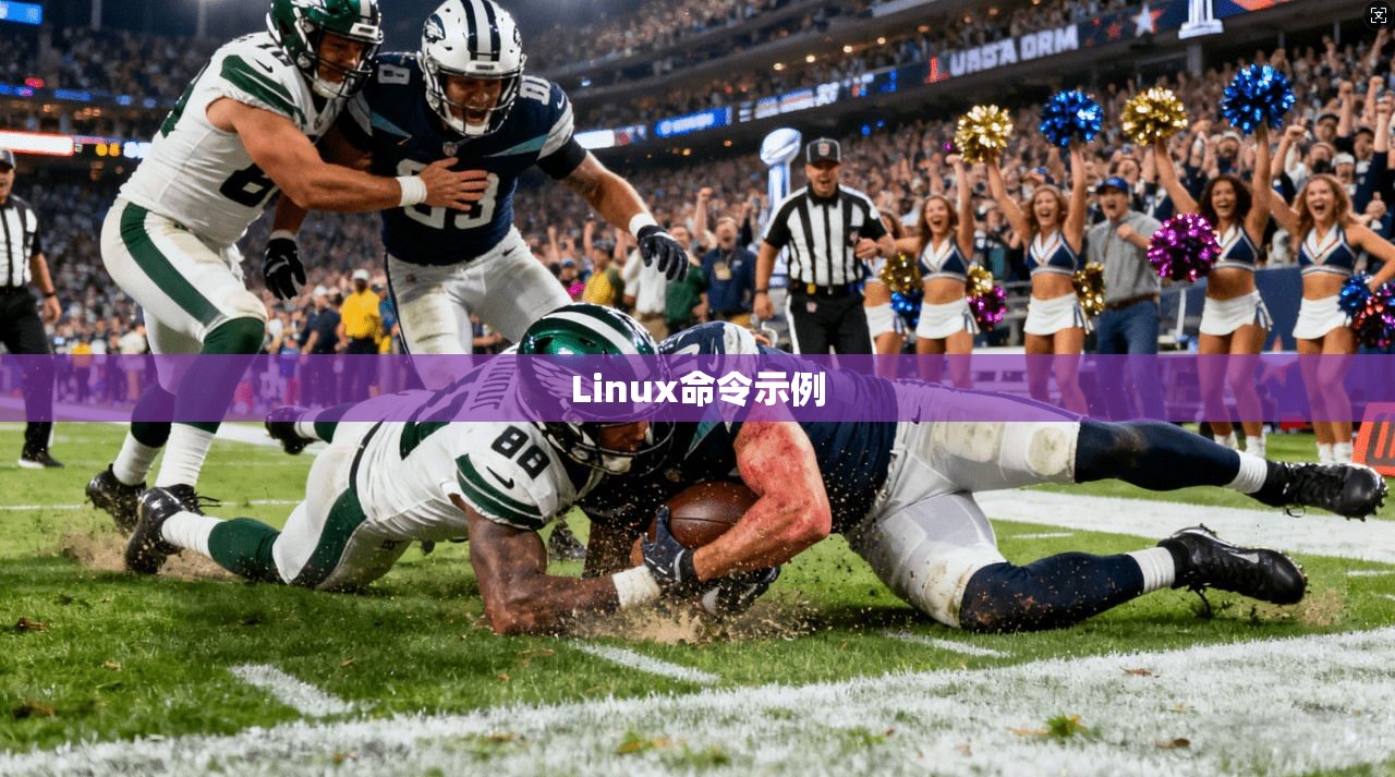 Linux命令示例 Linux命令示例