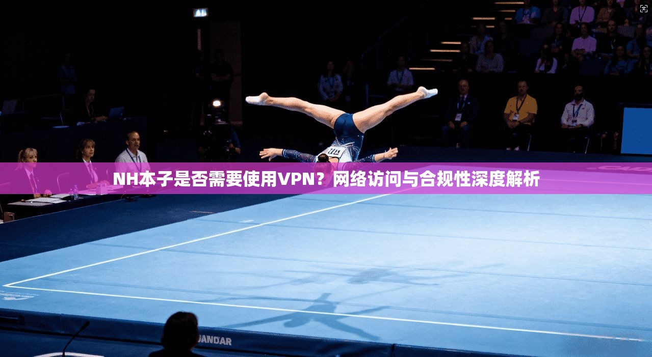 NH本子是否需要使用VPN？网络访问与合规性深度解析