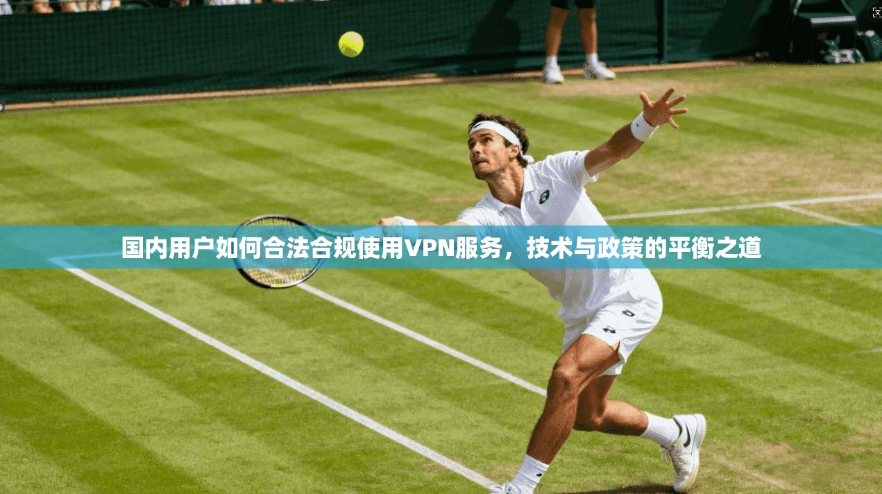 国内用户如何合法合规使用VPN服务，技术与政策的平衡之道
