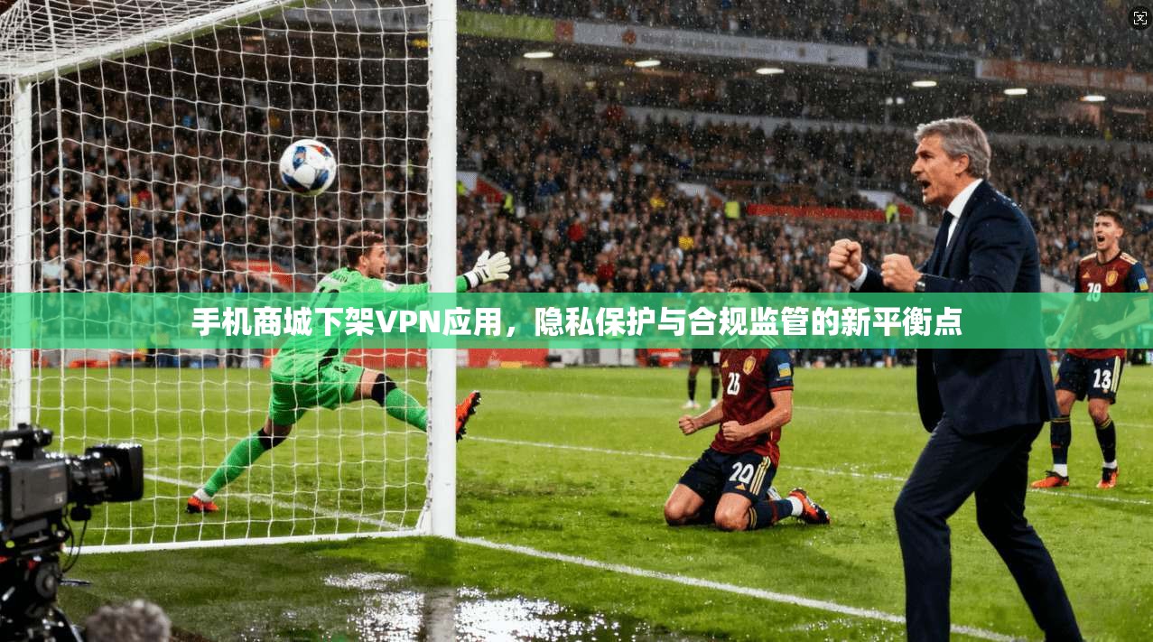 手机商城下架VPN应用,隐私保护与合规监管的新平衡点 手机商城下架VPN应用,隐私保护与合规监管的新平衡点