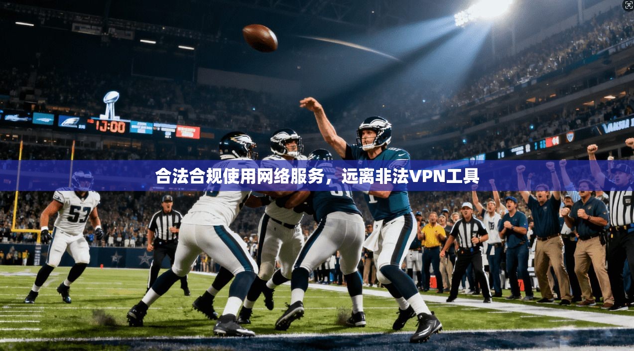 合法合规使用网络服务,远离非法VPN工具 合法合规使用网络服务,远离非法VPN工具