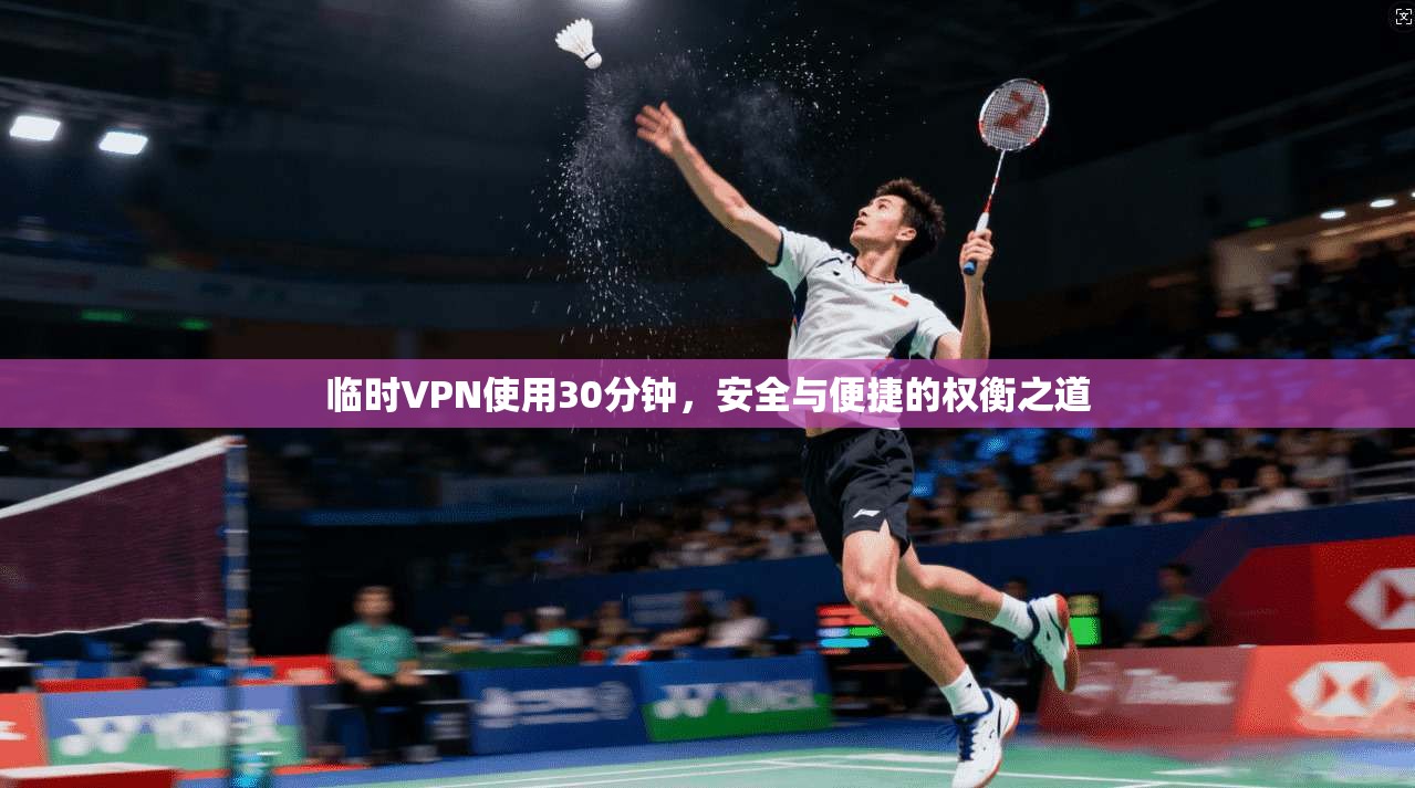 临时VPN使用30分钟，安全与便捷的权衡之道