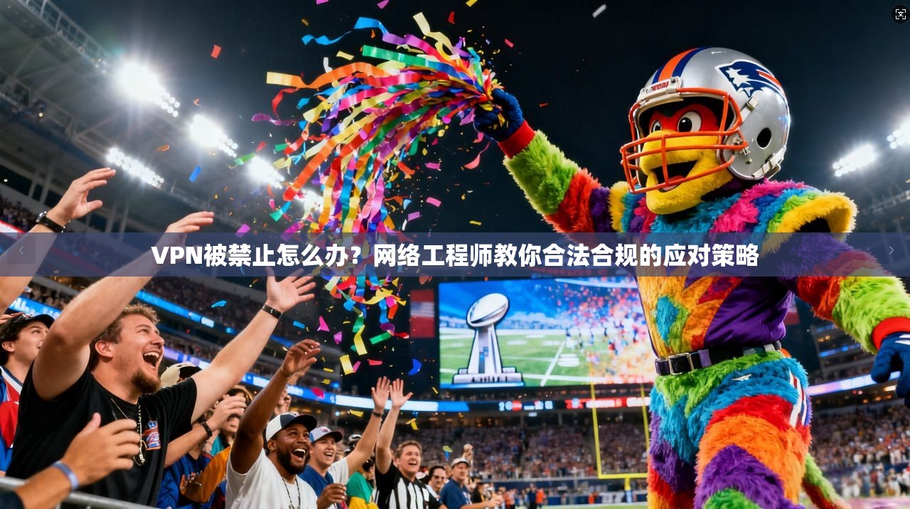 VPN被禁止怎么办？网络工程师教你合法合规的应对策略