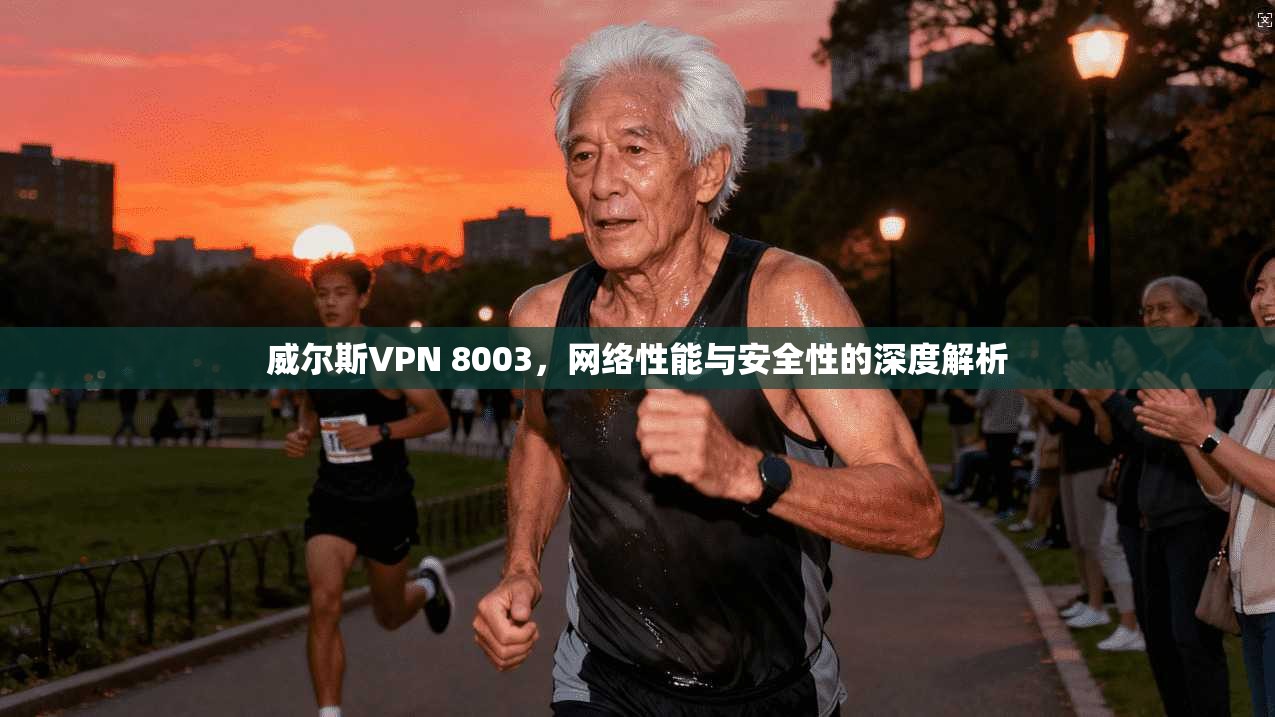 威尔斯VPN 8003,网络性能与安全性的深度解析 威尔斯VPN 8003,网络性能与安全性的深度解析