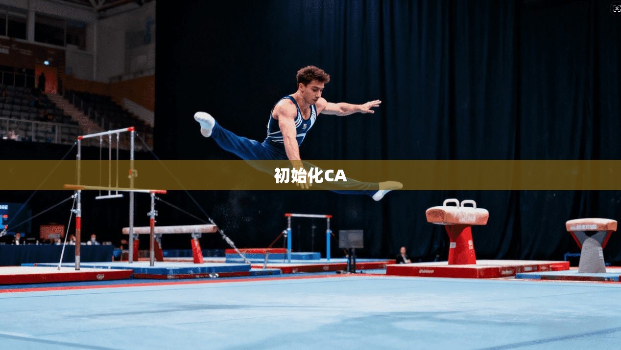 初始化CA 初始化CA