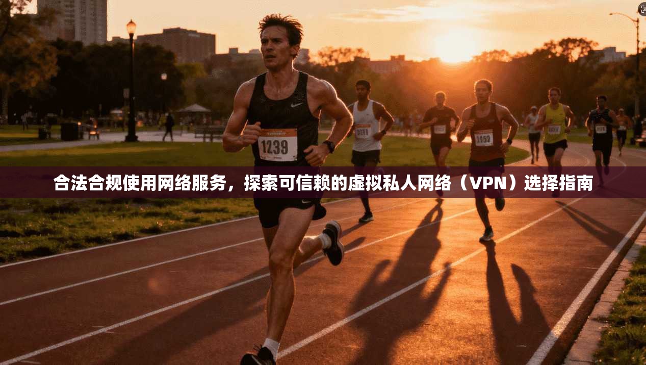 合法合规使用网络服务，探索可信赖的虚拟私人网络（VPN）选择指南