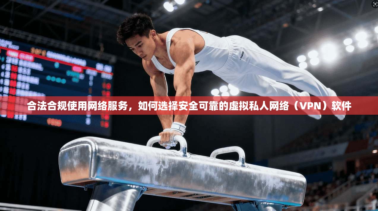 合法合规使用网络服务，如何选择安全可靠的虚拟私人网络（VPN）软件