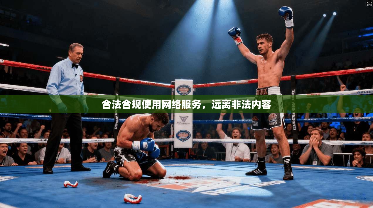 合法合规使用网络服务,远离非法内容 合法合规使用网络服务,远离非法内容