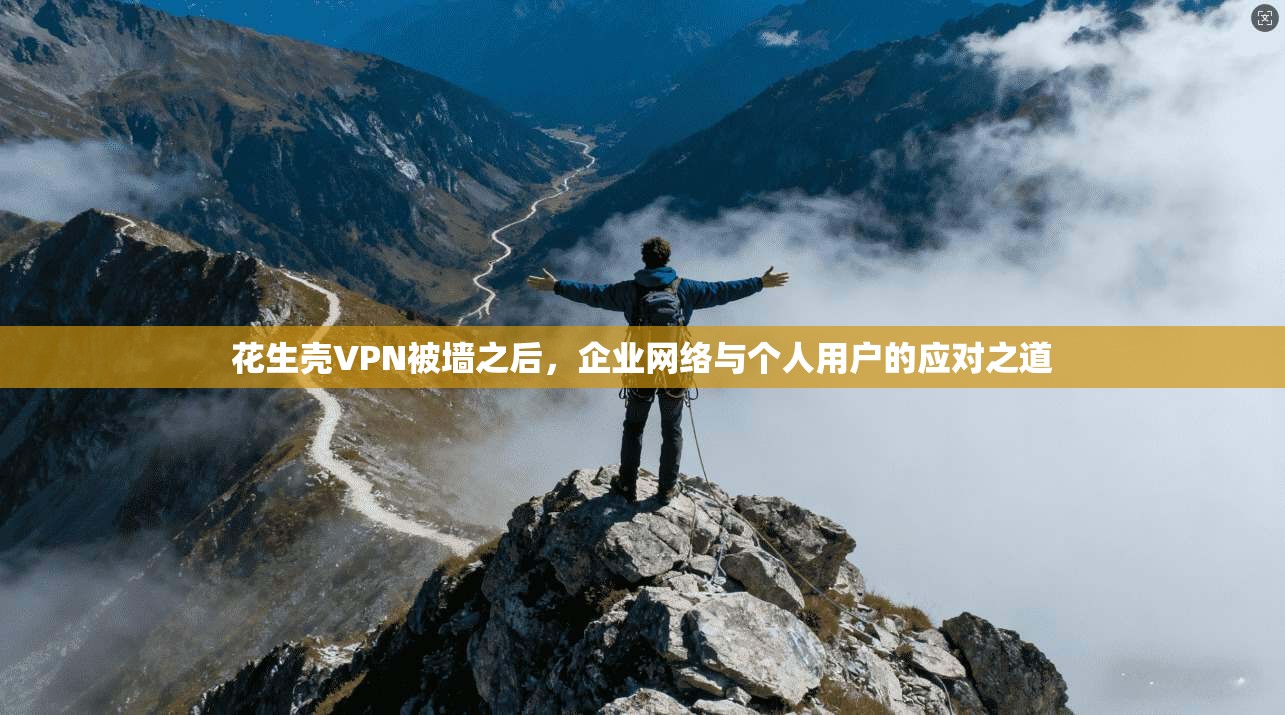 花生壳VPN被墙之后，企业网络与个人用户的应对之道