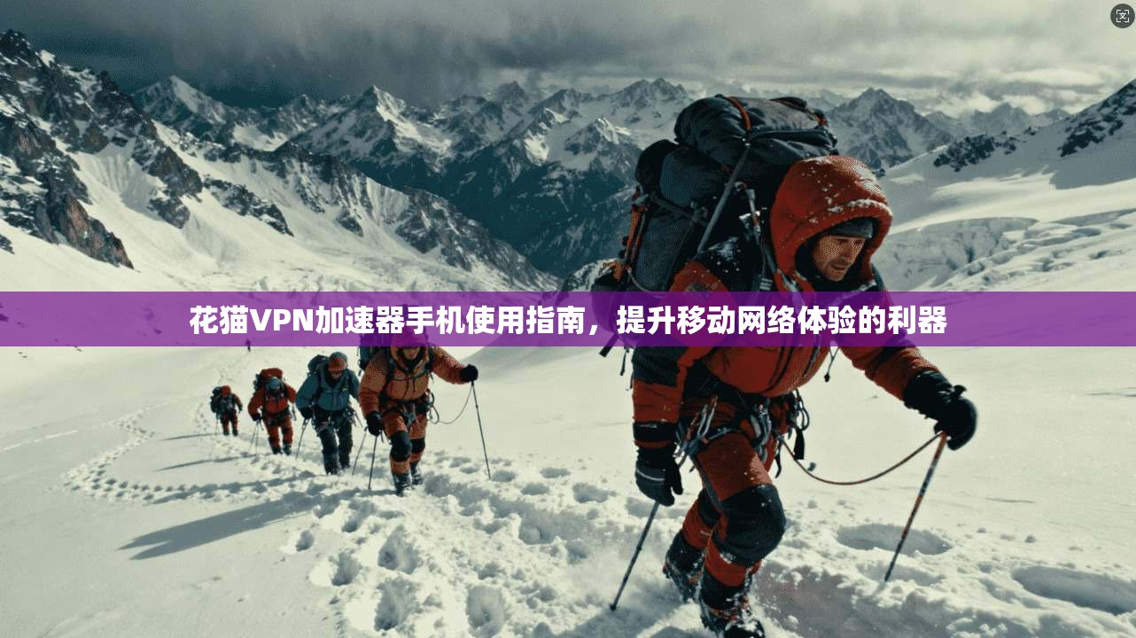 花猫VPN加速器手机使用指南,提升移动网络体验的利器 花猫VPN加速器手机使用指南,提升移动网络体验的利器