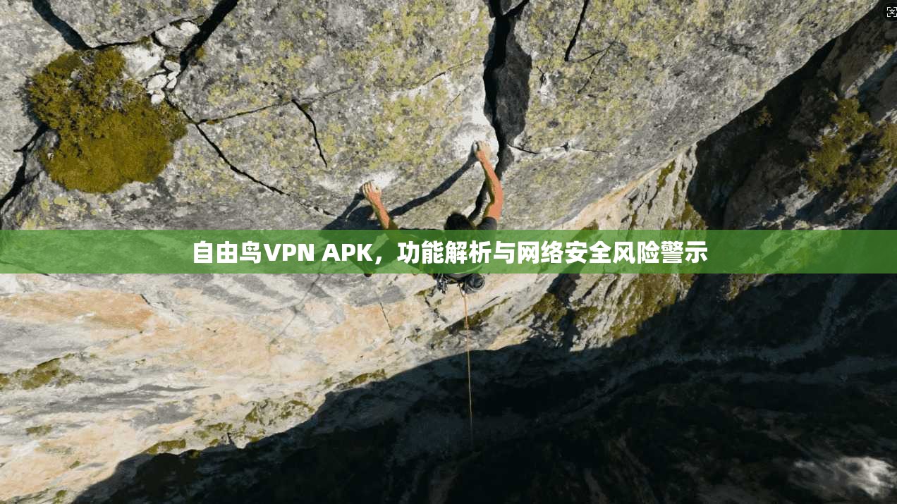 自由鸟VPN APK，功能解析与网络安全风险警示