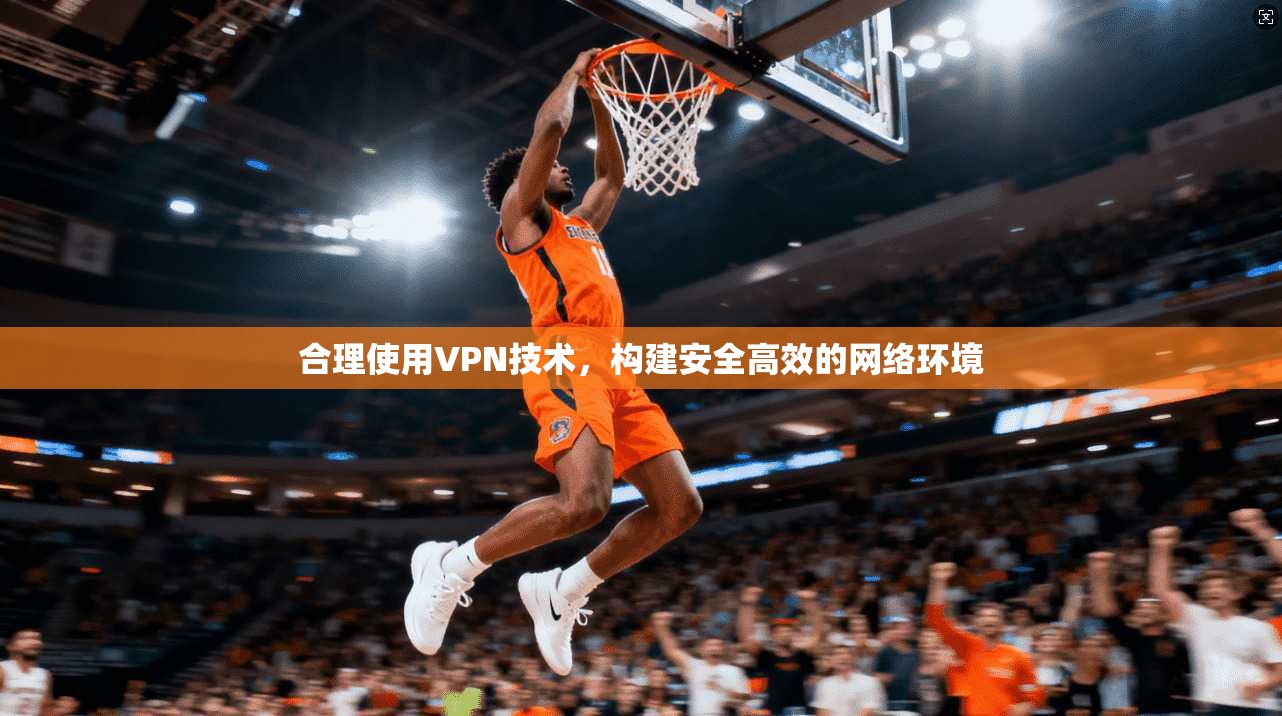 合理使用VPN技术,构建安全高效的网络环境 合理使用VPN技术,构建安全高效的网络环境