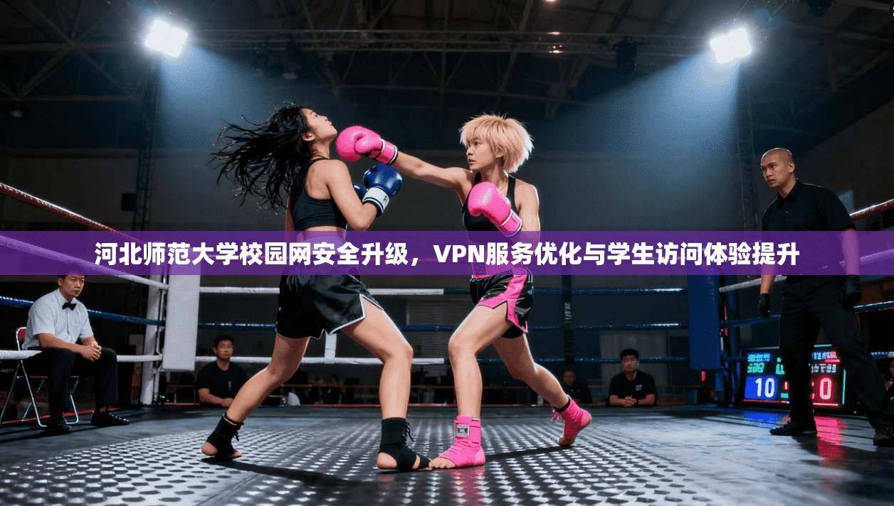 河北师范大学校园网安全升级,VPN服务优化与学生访问体验提升 河北师范大学校园网安全升级,VPN服务优化与学生访问体验提升